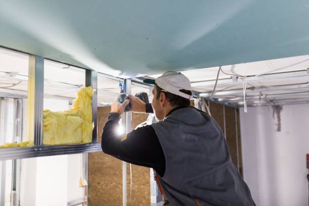 Best Fiberglass Insulation in Pierson, FL