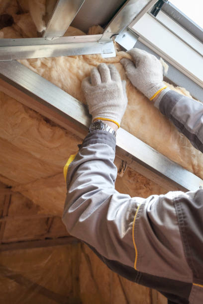 Best Geographic-Specific Insulation Services in Pierson, FL
