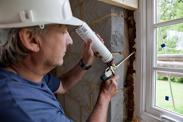 Best Eco-Friendly Insulation in Pierson, FL