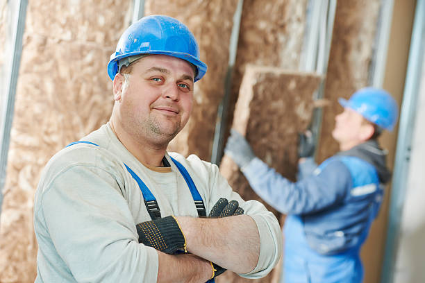 Best Cellulose Insulation in Pierson, FL