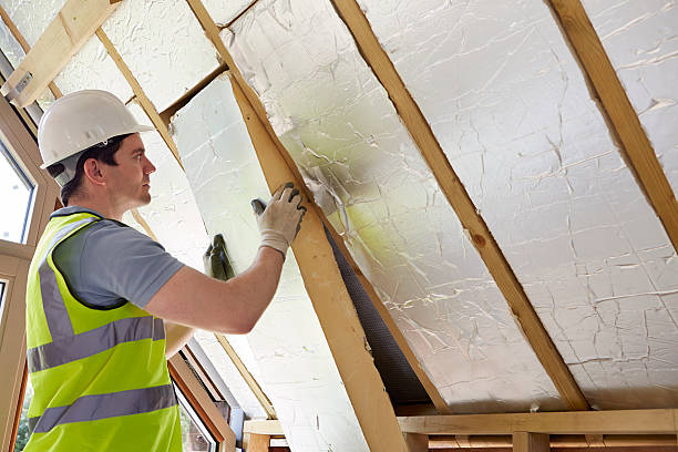 Best DIY Insulation Kits and Guidance in Pierson, FL