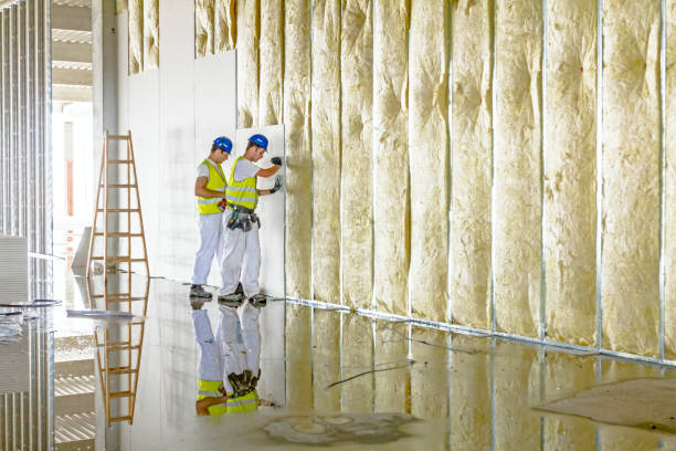 Best Eco-Friendly Insulation in Pierson, FL